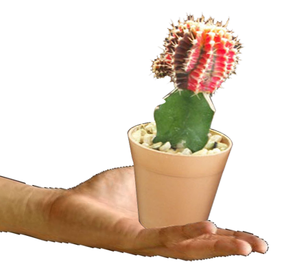 give