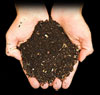 soil